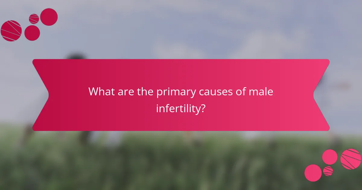 What are the primary causes of male infertility?
